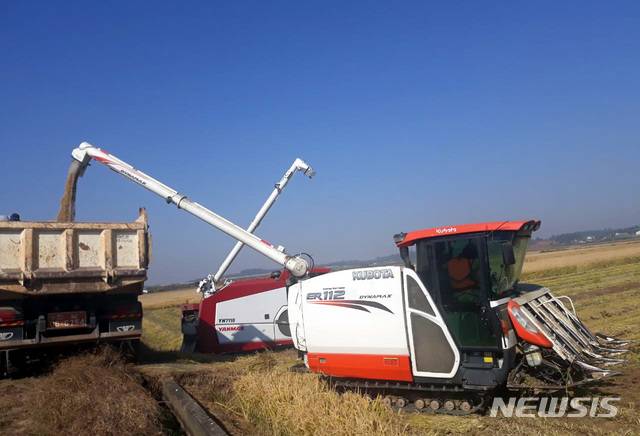 [영암=뉴시스] 가을 들녘 추수.