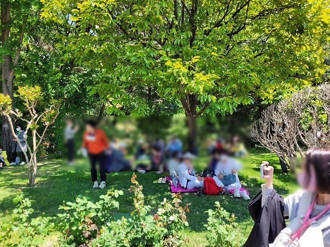 청와대 개방 첫날인 5월 10일 청와대에 입장한 관광객이 잔디 위에 돗자리와 야영의자를 깔고 앉아 음식을 먹거나, 나무를 의자 삼아 깔고 앉는 과정에서 조경을 훼손하고 있다. 김예진 기자
