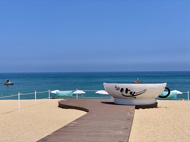 강원 안목해변 자료사진 [촬영 장아름]