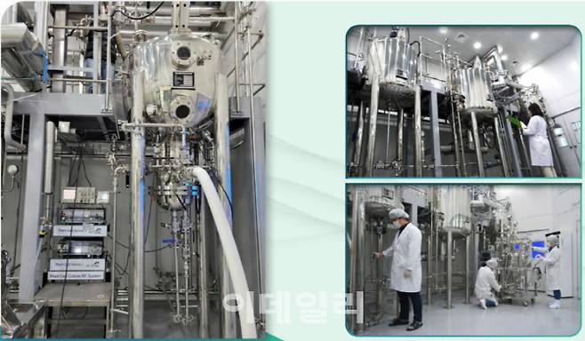 바이오에프디엔씨 식물세포 대량배양 및 단백질 생산설비. (제공=바이오에프디엔씨)