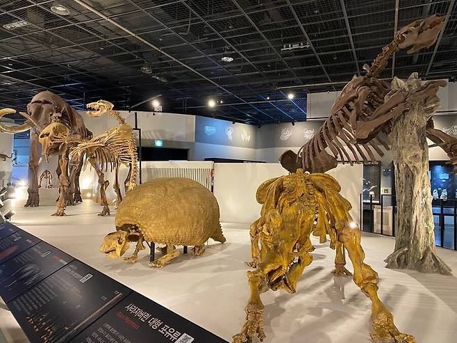 포유류는 포유강의 동물을 일상적으로 통틀어 이르는 말이다. 행정용어 순화 편람에는 ‘포유류’와 ‘젖먹이 짐승’을 함께 쓸 수 있다고 돼 있다. 김지윤 기자 kimjy13@hani.co.kr