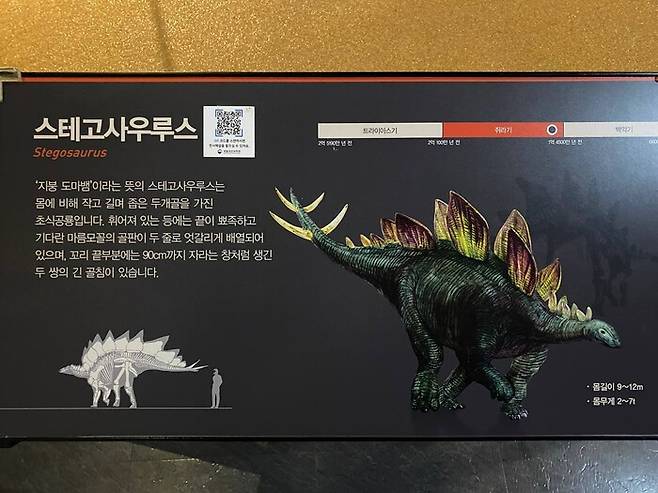 일본어 투 생활용어 순화 고시 자료를 보니 ‘두개골’ 대신 될 수 있으면 순화한 용어인 ‘머리뼈’를 쓰라고 돼 있다. 골침은 ‘뼈바늘’로 바꿀 수 있다.