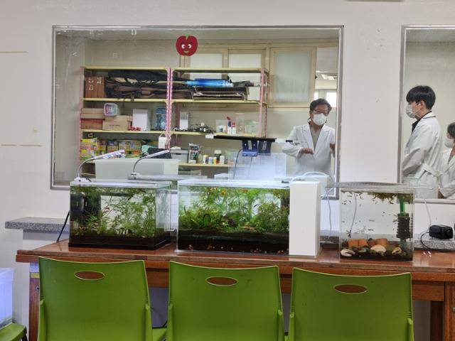 치료감호소에서는 심리극, 음악치료, 수족관 치료처럼 트라우마로 인한 스트레스를 줄이고, 생명 존중 의식을 갖출 수 있도록 하는 등의 정신재활치료 프로그램이 운영되고 있다. 스트레스는 정신질환 발병의 주요한 요인으로 작용하기에, 이를 완화하는 게 중요하다. 사진은 수족관 치료 시설. 공주=최나실 기자