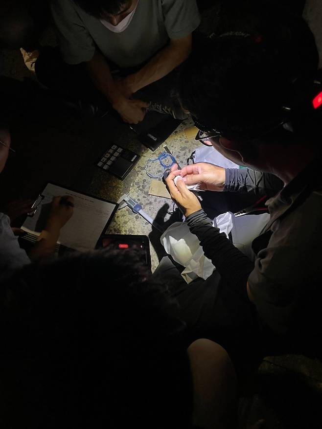 프로젝트팀이 제비 등에 지오로케이터를 부착하고 있습니다.