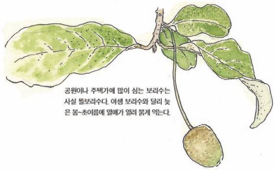 우리 주변 식물들의 비밀 이야기