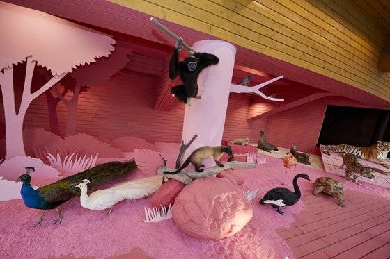 서울대공원 돌고래이야기관 2층에 있는 ‘동물원 속 책마루’에서는 ‘노아의 방주’ 콘셉트로 전시된 동물 표본을 만날 수 있다.