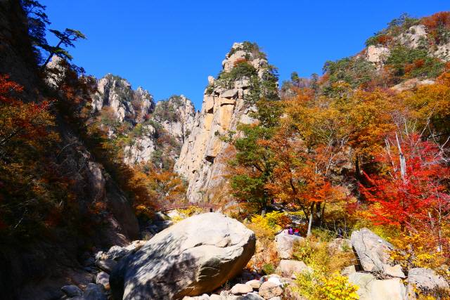 ▲ 설악산 오색 주전골 단풍.  사진제공=사진작가 강영근