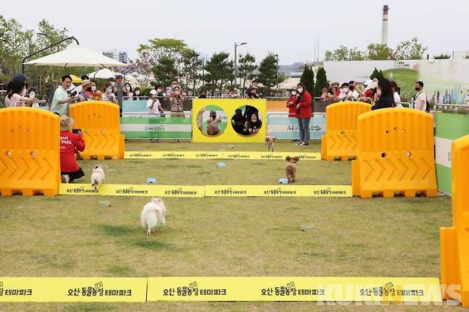 오산 댕댕이월드컵 ‘엄빠를 찾아서 게임’.
