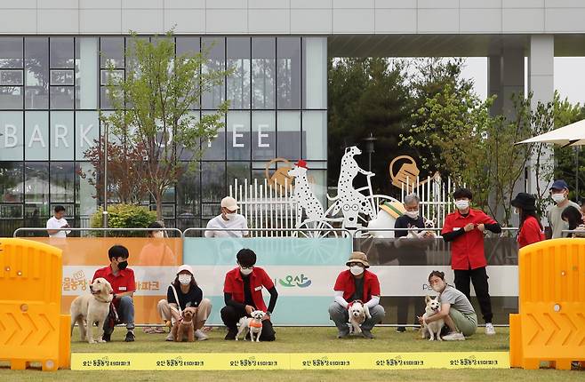 (오산)오산반려동물테마파크. 매주 토요일 반려견 스포츠경기인 댕댕이 월드컵이 열린다. [이정화 작가]