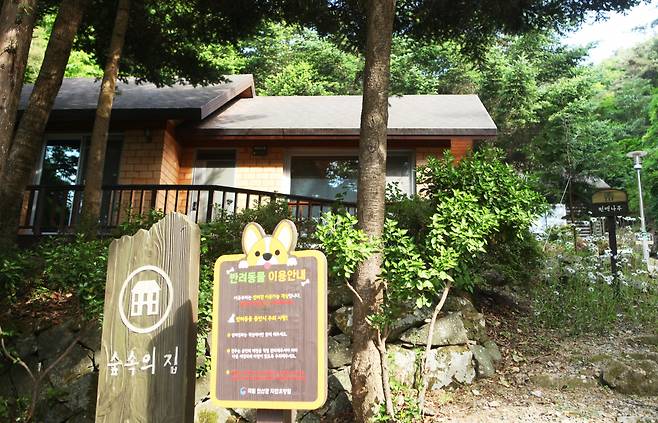 장흥 천관산휴양림 반려견객실구역 [서영진 작가]