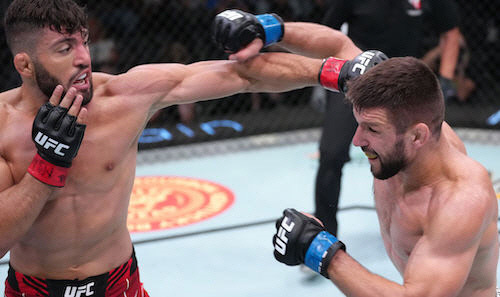 UFC 파이트 나이트 : 사루키안 vs 감롯 메인 이벤트