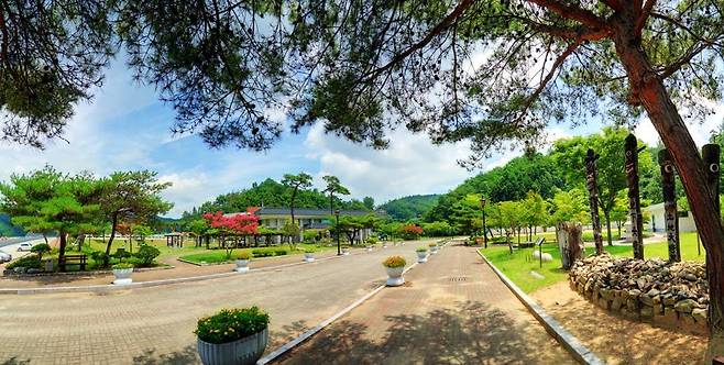 안동시립박물관 [안동시 제공.재판매 및 DB금지]