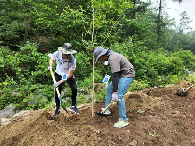 국립양평치유의 숲에서 진행된 교통약자를 위한 작은숲 조성 봉사활동에 참여한 두나무 임직원들이 함께 나무를 심고 있다