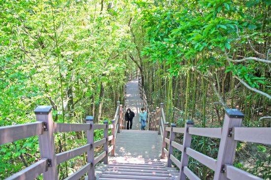 산청군 중산 두류 생태탐방로.