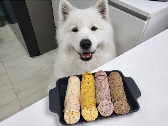 댕댕푸드대첩에서 우승은 금손을 차지한 박미진씨의 반려견 곰이와 직접 만든 영양 가득 소시지. 사진 박미진