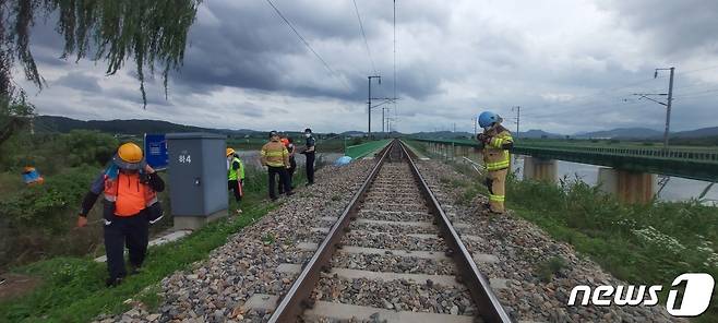 29일 오후 1시58분쯤 충북 청주시 흥덕구 오송읍 서평리 미호천교 인근 철길에서 A씨(59)가 무궁화호에 치여 소방당국이 사고 수습을 하고 있다.(충북소방본부 제공).2022.6.29/© 뉴스1