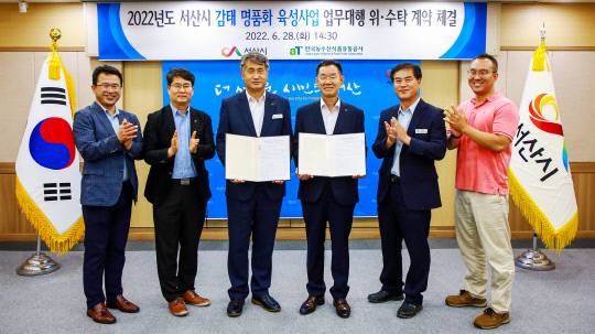 감태 명문화 육성사업 위·수탁 협약식. 왼쪽부터 안승현 수출유통부 팀장, 김명수 수출유통부 부장, 고명호 건설도시국장, 배민식 대전세종충남 본부장, 성광석 해양수산과장, 차동훈 주무관. 사진=서산시 제공