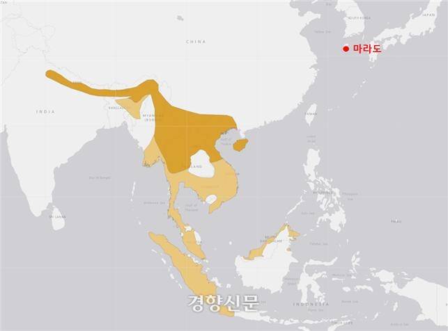 황토색으로 표시된 지역이 큰부리바람까마귀가 주로 분포하는 지역, 붉은색으로 쓰여진 마라도가 이번에 관찰된 곳이다. 국립생물자원관 제공