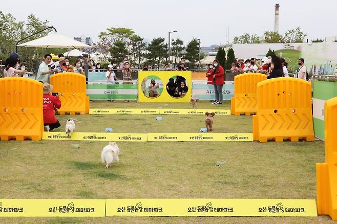 [사진 제공 = 한국관광공사]