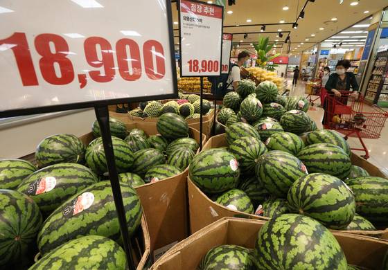 29일 서울의 한 대형마트에서 장을 보는 시민들의 모습. /사진제공=뉴스1