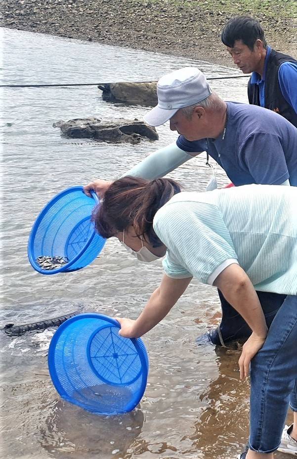 쏘가리 치어 방류 *재판매 및 DB 금지