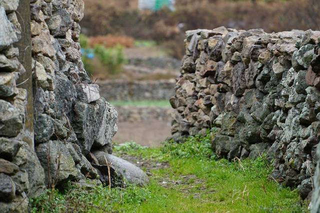 ▲돌담은 바람의 방어막이 아니다. 바람의 통로다!Ⓒ섬학교