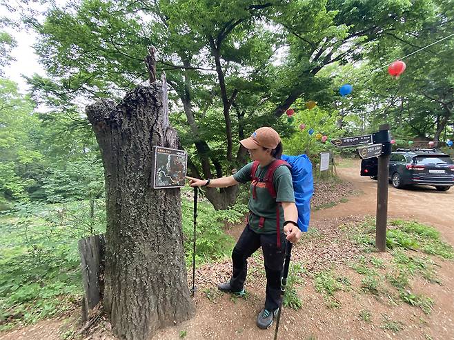 고봉산에서 이정표를 살피고 있다. 낮은 산이라 방심했는지, 길을 잘못 들어 고생했다.