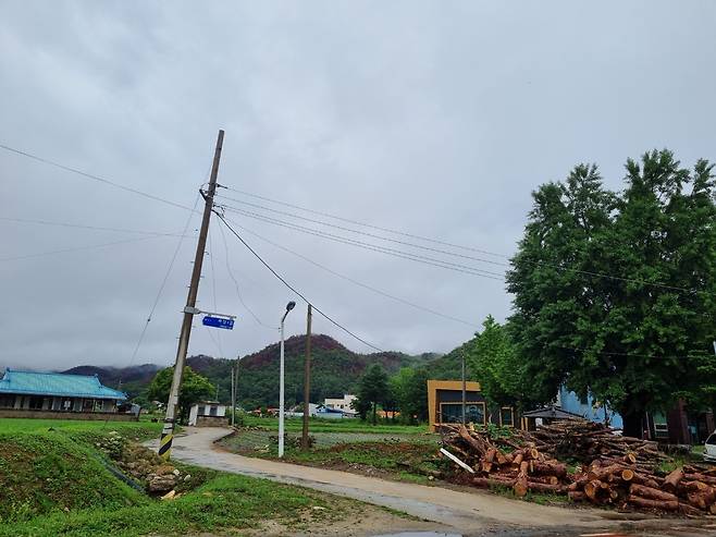 아직 울진 곳곳에는 산불의 상흔이 남아있다. 산 정상 부근의 화재 피해 지역이 검붉은 색깔을 보이고 있다.