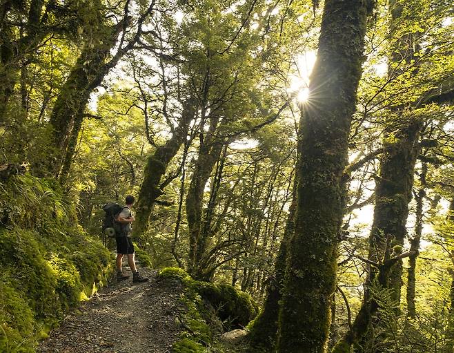 루트번 트랙을 걷는 하이커들 [뉴질랜드관광청 제공]