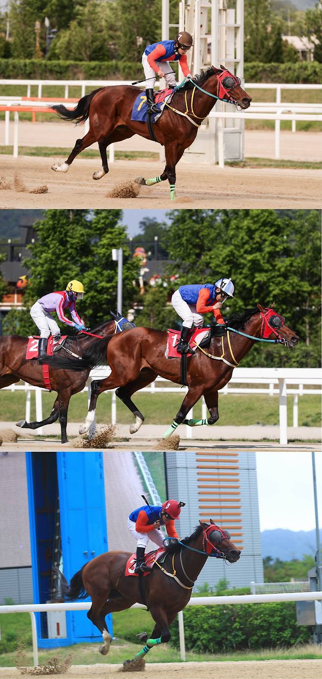 위너스맨이 제17회 부산광역시장배에서 우승하는 모습. 사진제공=한국마사회