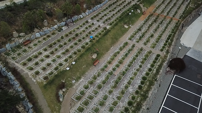 16일 오전 경남 고성에 있는 반려동물 장례식장. 죽은 반려동물 유골함이 있는 수목장이다. ⓒ 데일리안