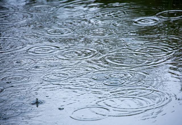 습도가 높아지면 곰팡이가 잘 번식하는데, 곰팡이가 방출한 포자에 의해 폐 기능이 떨어질 수 있다./사진=클립아트코리아