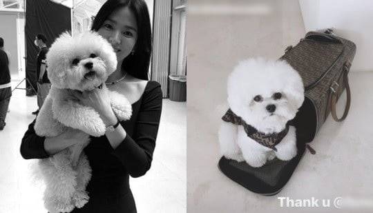 [사진=송혜교SNS 캡처]