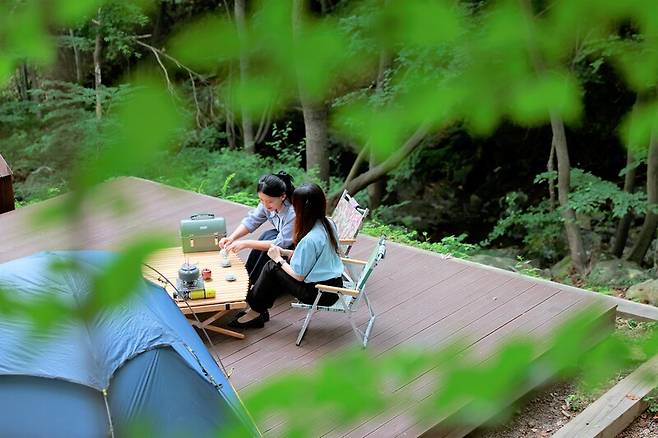 보성 제암산자연휴양림 야영장 / 사진제공=보성군청