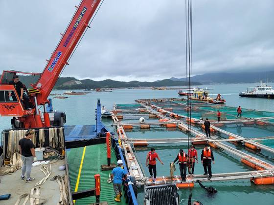 (완도=뉴스1) 황희규 기자 = 29일 오전 전남 완도군 신지면 송곡항 인근 앞바다에서 해경과 경찰 관계자들이 최근 실종된 조유나양(10) 일가족의 아우디 차량을 인양 작업을 하고 있다.(완도해경 제공) 2022.6.29/뉴스1