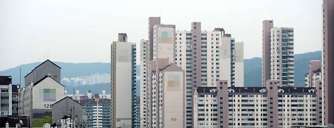분당구 아파트 3.3㎡당 평균매매가격이 5000만원을 넘어서며 2011년 8월 이후 가장 높은 수치를 기록했다. /분당 아파트 밀집 지역. 사진=뉴시스
