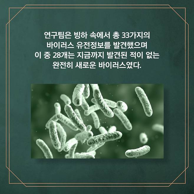 연구팀은 빙하 속에서 총 33가지의 바이러스 유전정보를 발견했으며 지금까지 발견된 없는 완전히 새로운 바이러스였다.