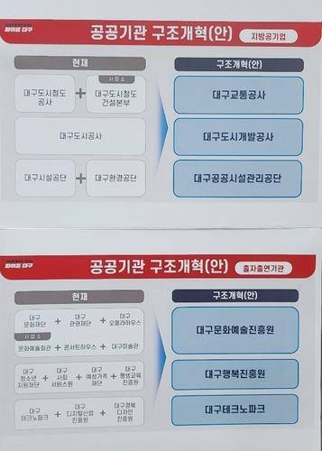 대구 공공기관 구조개혁안 [대구시장직 인수위 제공.재판매 및 DB 금지]
