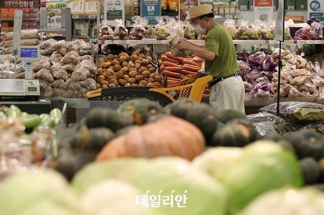 서울 시내의 한 대형마트에 시민들이 장을 보고 있다. ⓒ데일리안 DB