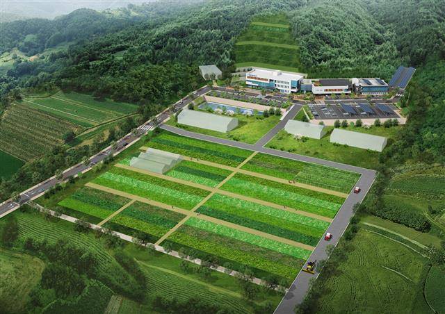 인제군농업기술센터 조감도.인제군 제공