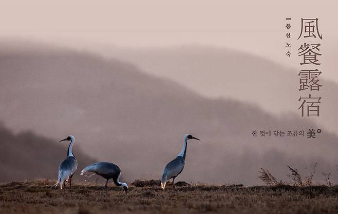 ‘한 컷에 담은 조류의 美,풍찬노숙 風餐露宿’사진전은 오는 8월 15일(월)까지 캐논갤러리(강남구 봉은사로 217 캐논플렉스 지하 1층)에서 개최된다.
