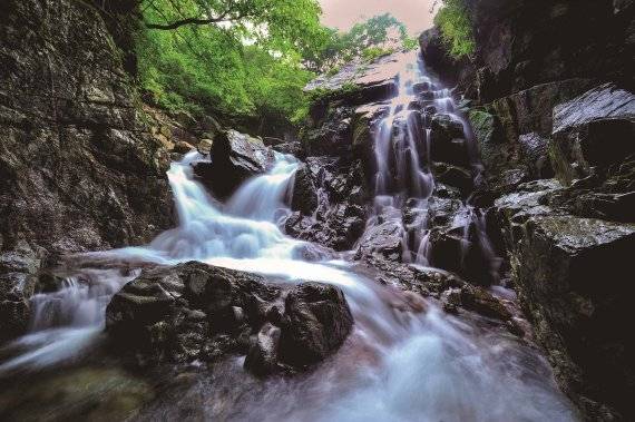 전남 광양시가 7월 광양을 찾아 전남도립미술관과 광양예술창고에서 '뮤캉스', 광양와인동굴에서 '동캉스(동굴+바캉스)', 백운산에서 '숲캉스'를 즐기며 무더운 여름을 시원하고 건강하게 보낼 수 있는 세가지 여행코스를 선보였다.사진은 시원한 물줄기가 신비롭게 쏟아져 내리는 광양 백운산 어치계곡 모습.사진=광양시 제공