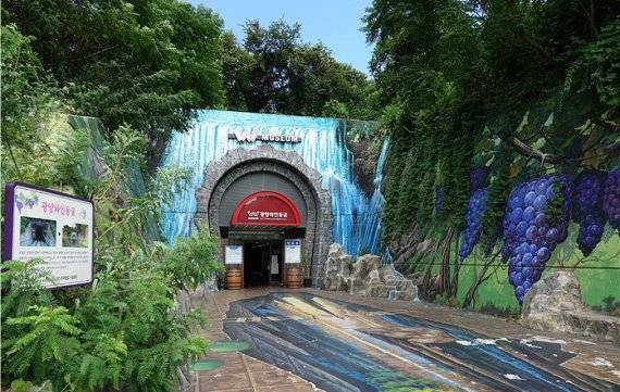 항상 17.5도를 유지하는 여름 피서의 성지 광양와인동굴