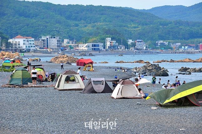 울산 주전어촌체험휴양마을 몽돌해변에서 사람들이 캠핑을 즐기고 있다. ⓒ해양수산부