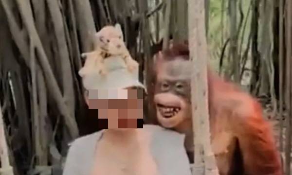 /사진= 온라인 동영상 갈무리