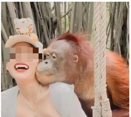 /사진= 온라인 동영상 갈무리