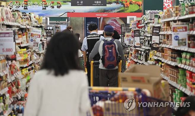 서울 시내 대형마트에서 장을 보는 시민들 [연합뉴스 자료사진. 재판매 및 DB 금지]