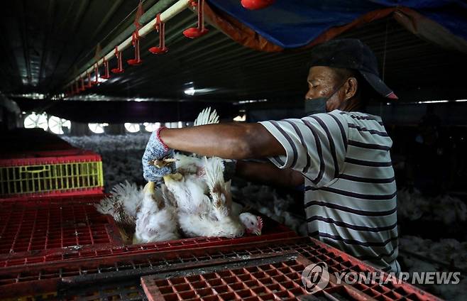 식량물가 급등한 말레이시아 [AFP 연합뉴스 자료사진. 재판매 및 DB 금지]