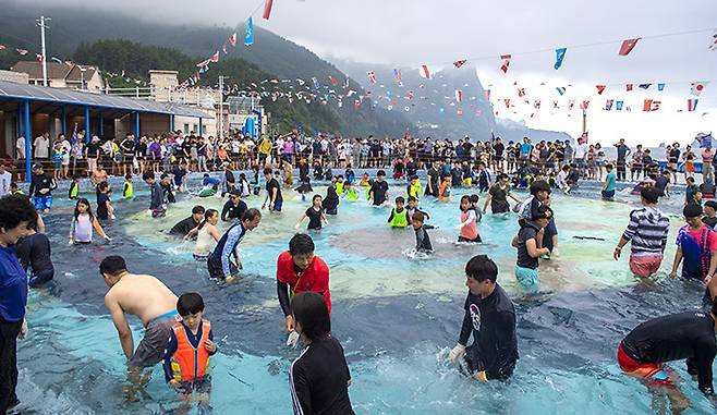 울릉도 오징어축제