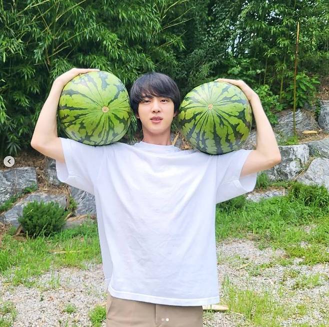 /사진=진 인스타그램